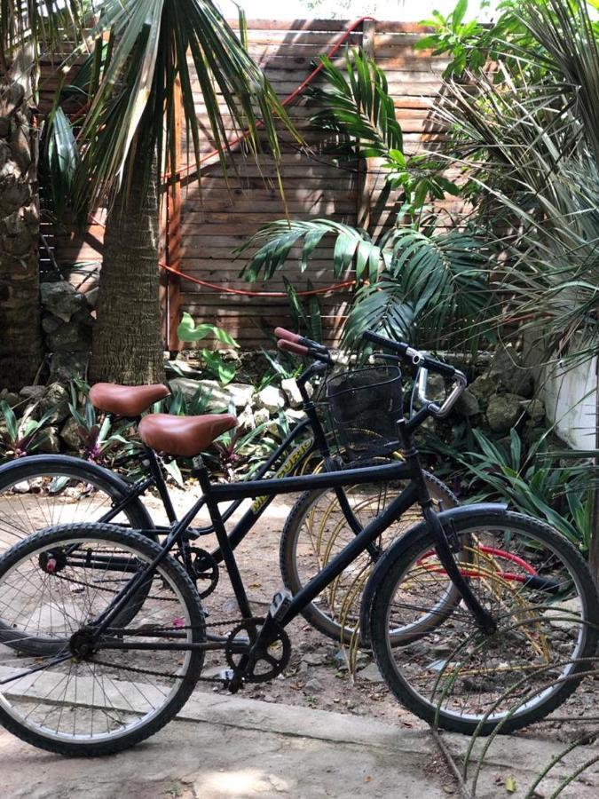 Crucero Tulum Bed & Breakfast Екстериор снимка